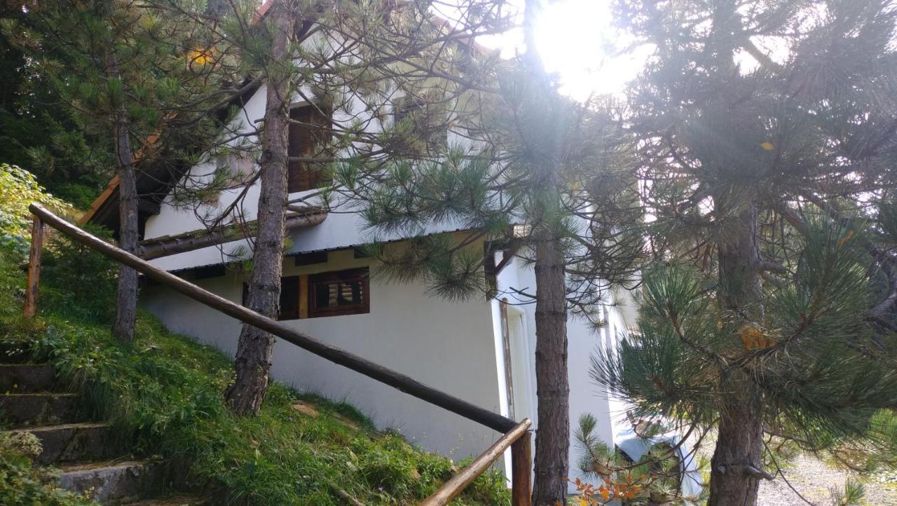فندق Uki & Sofi Mountain House كوباونيك المظهر الخارجي الصورة