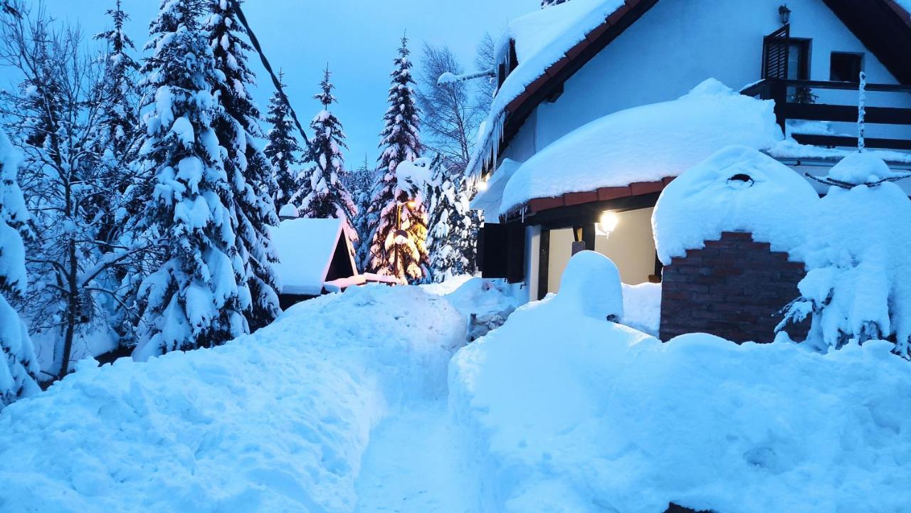 فندق Uki & Sofi Mountain House كوباونيك المظهر الخارجي الصورة