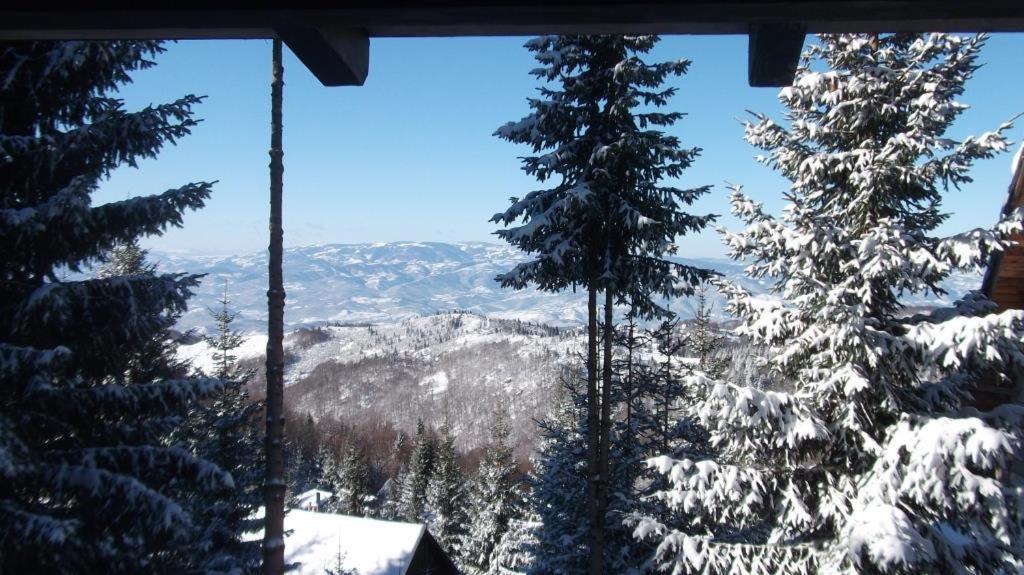 فندق Uki & Sofi Mountain House كوباونيك المظهر الخارجي الصورة